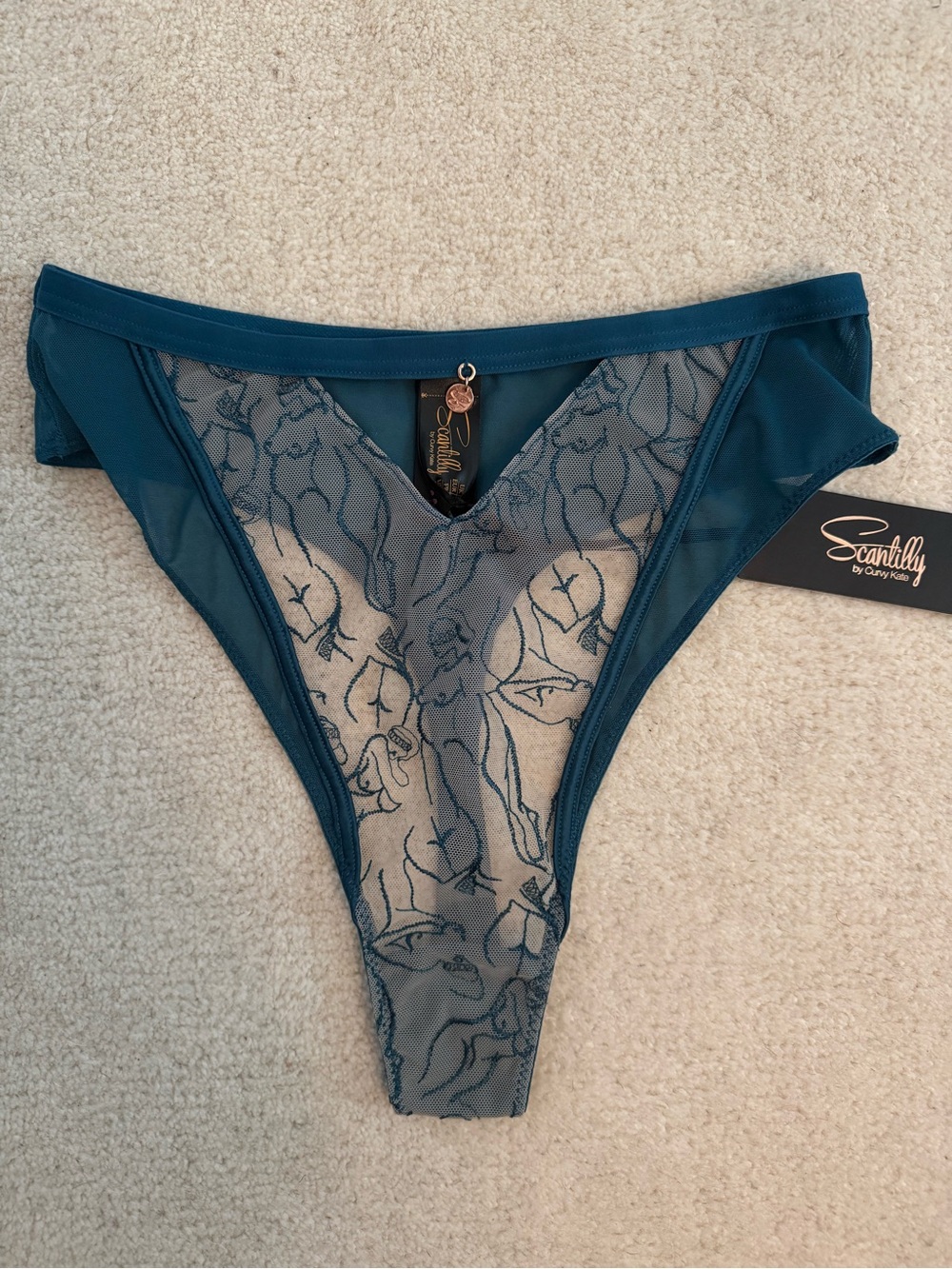Scantilly by curvy Kate sex education high waist thong